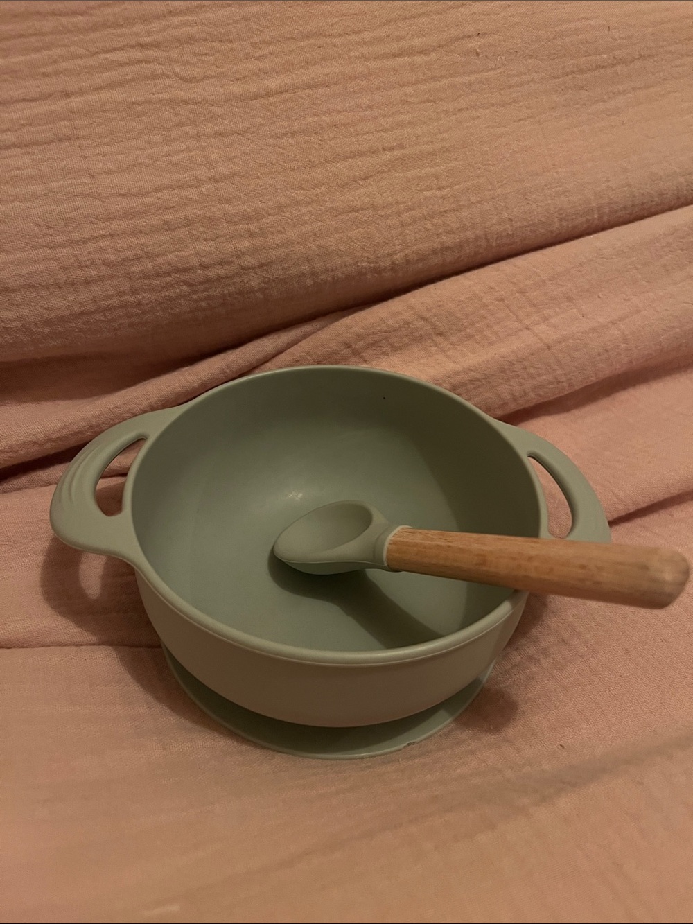 Silicone Bowl And Spoon Set